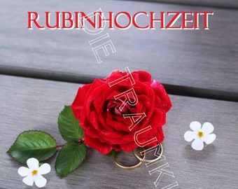 Rubinhochzeit Karte " Rose Ringe 2  " TD0096