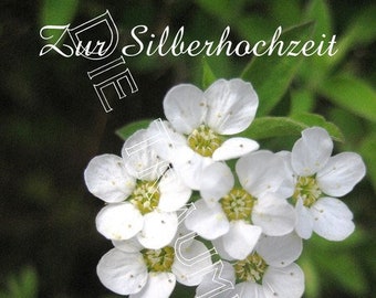 Silberhochzeit Karte "Blüten Klein weiß 2" TD0014