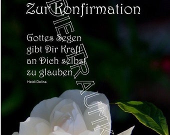 Konfirmationskarte "Rose schneeweiß" TF0005