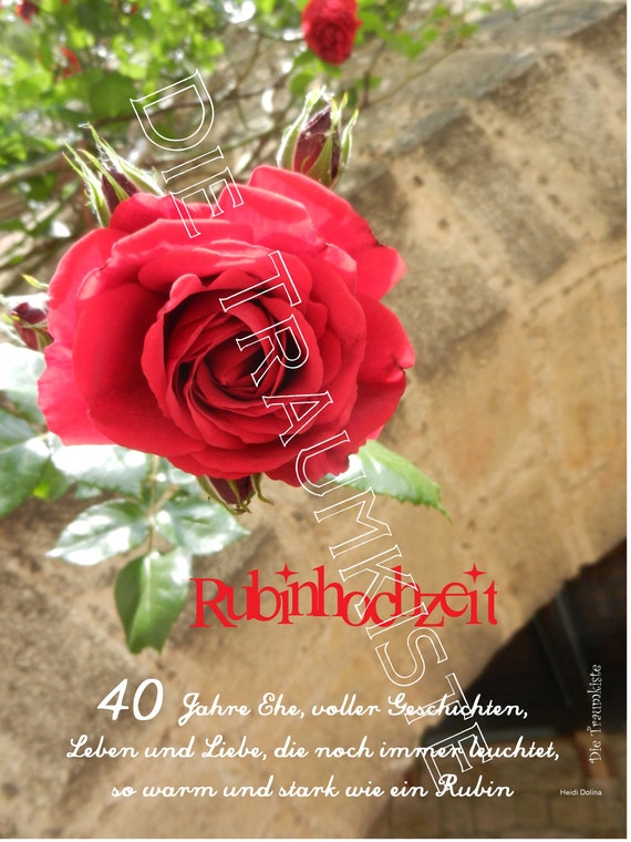 Rubinhochzeit Karte Rose Rot Mauer Td0095 Etsy