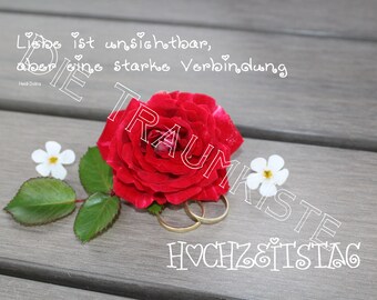 Hochzeitstag Karte "Rose Ringe 1 " TD0069