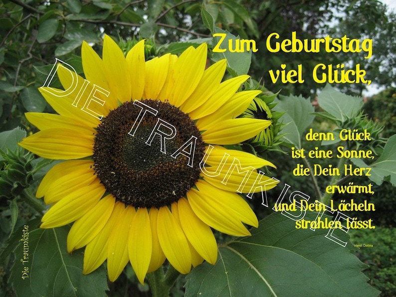 Geburtstagskarte sonnenblume TA0013 Etsy Ireland