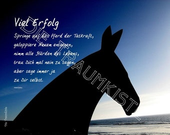 Karte"Pferd Meer " T0049