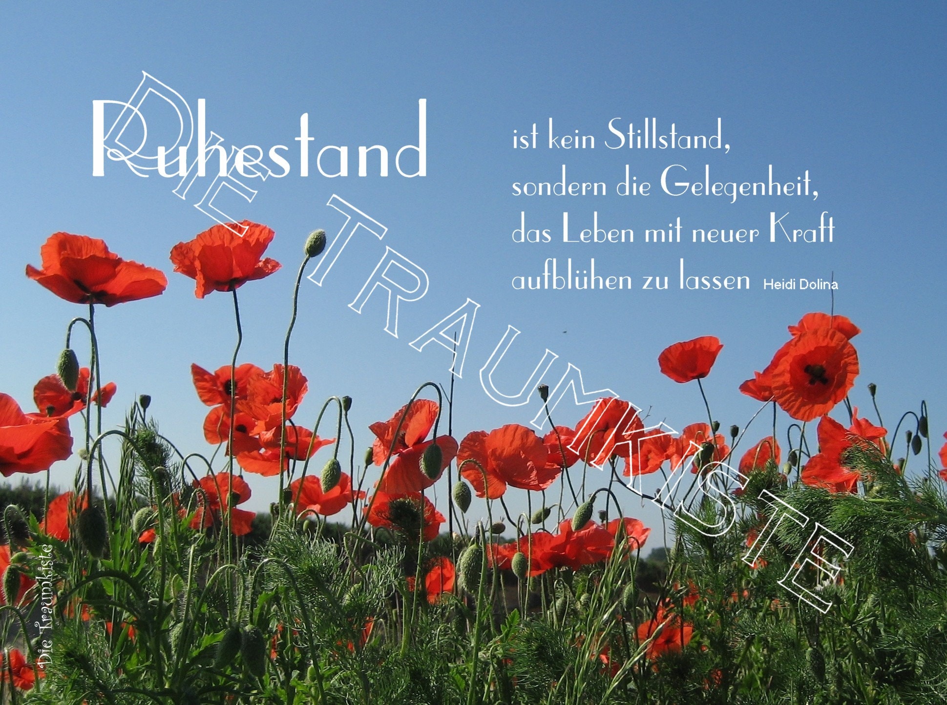 Ruhestand KarteMohnblumen Himmel 6 TH0049 Etsy.de