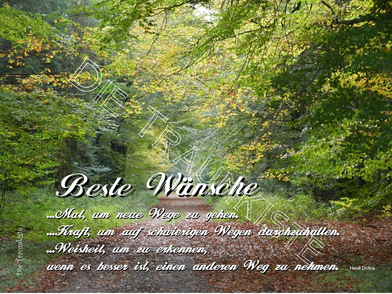Wünsche Karte Waldweg Blätter 1 T0109 Etsy