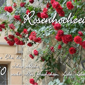 Rosenhochzeit Karte "Rosen Fenster 3" TD0079
