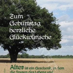 Geburtstagskarte Baum Eiche 3 TA0008 Bild 1