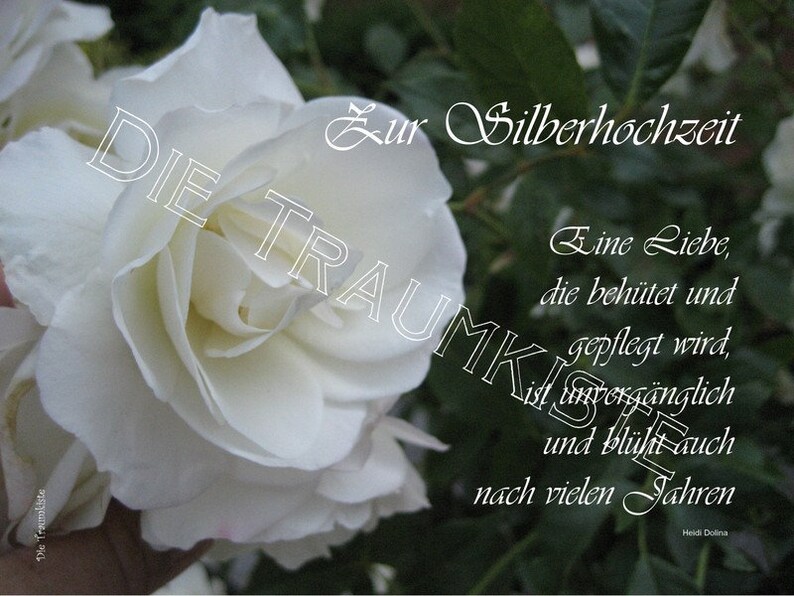 Silberhochzeit Karte Rose weiß TD0001 Etsy