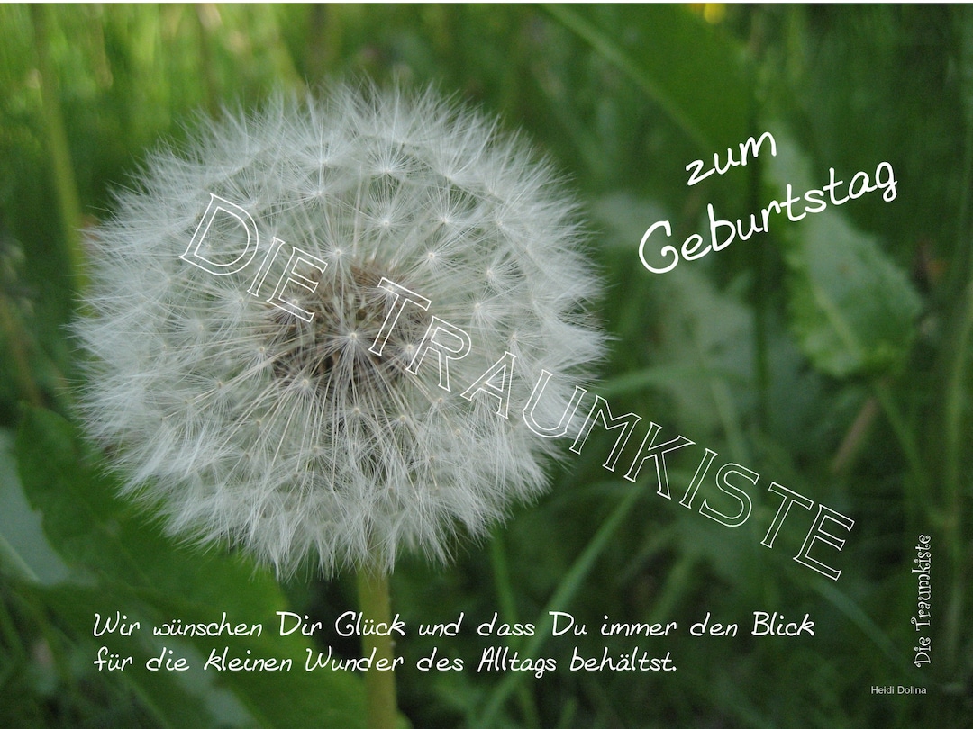 Geburtstagskarte pusteblume ta0056 Etsy
