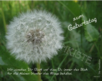 Geburtstagskarte "Pusteblume "TA0056