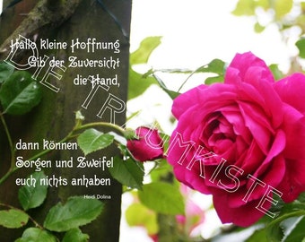 Karte"Rose Knospe 7 " T0246