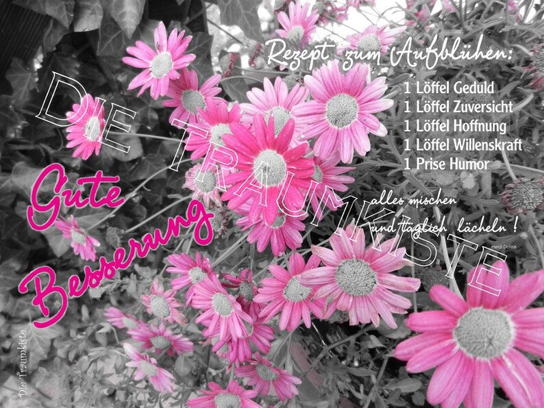 Gute Besserung Karte Blumen rosa TH0031 - Etsy.de
