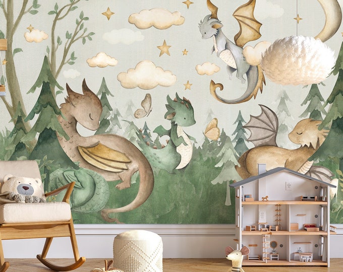 Wall murals for BOYS