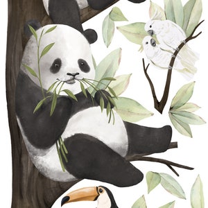 PANDARIUM / Stickers muraux animaux pour enfants / Sticker mural ours panda looks to the right