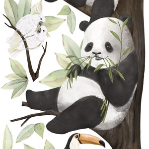 PANDARIUM / Stickers muraux animaux pour enfants / Sticker mural ours panda looks to the left