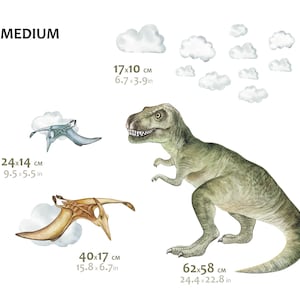 May include: Watercolor illustrations of dinosaurs and clouds. Includes a green Tyrannosaurus Rex (24.4 x 22.8 in), two Pterodactyls (15.8 x 6.7 in and 9.5 x 5.5 in), and several white cloud shapes (6.7 x 3.9 in). The word "MEDIUM" is at the top.