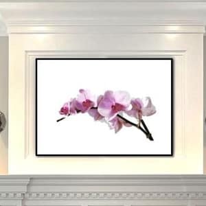 Printable Art, colrful Wildflowers orchid, instant download Minimalist Art, floral Art, orchid Prints, digital print