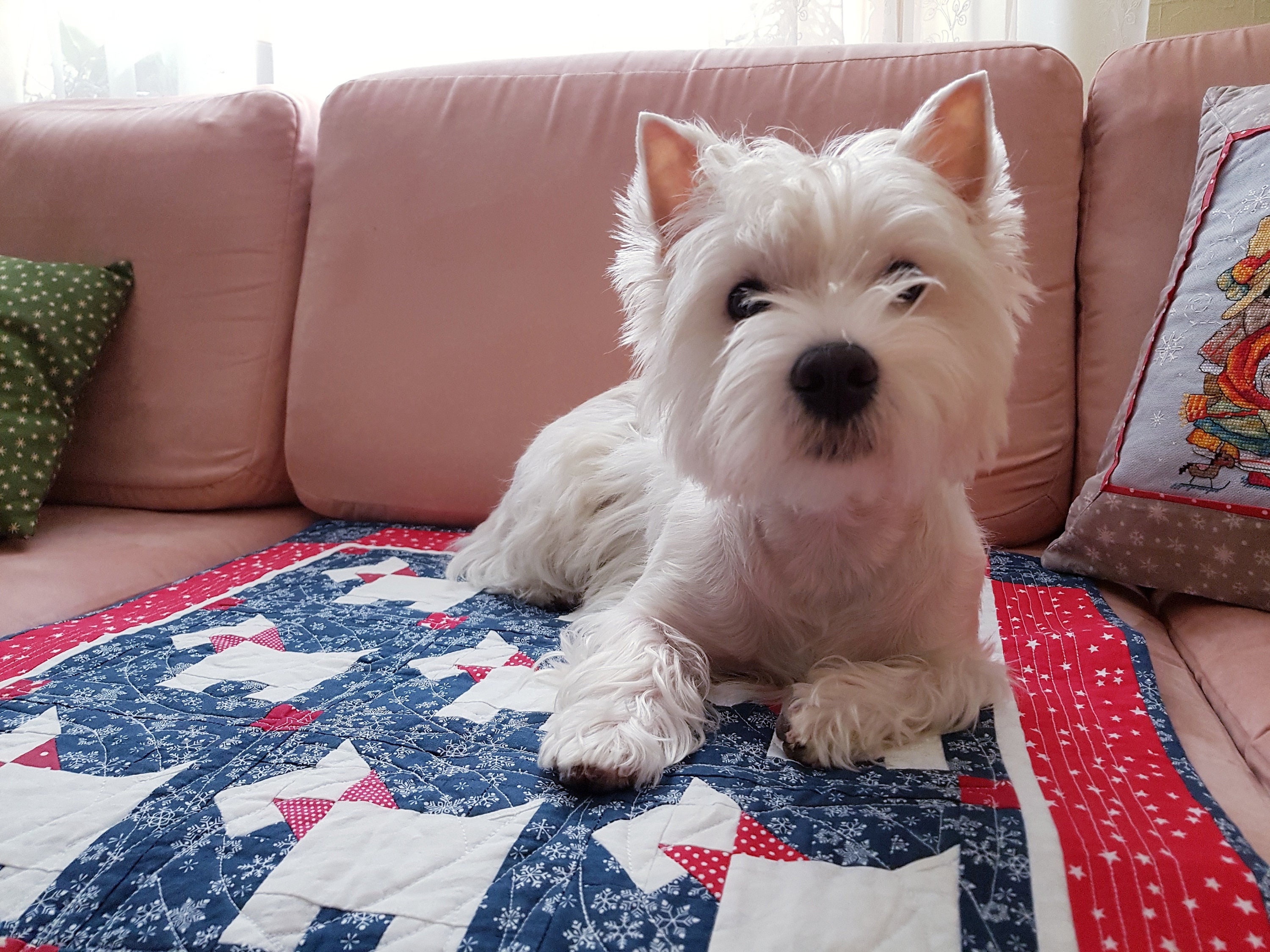 Quilt for sale Westie Blanket Throw Dog Lover Gift Dog Etsy