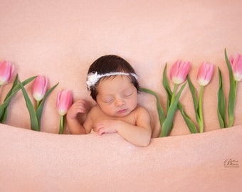Pink knit posing fabric, newborn baby photography backdrop ALEX