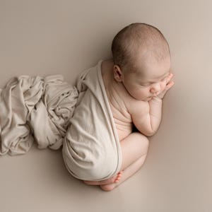 Newborn Photography Backdrop | Smooth Stretch Posing Fabric | Optional Matching Wrap image 4