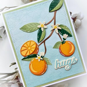 Carte d'anniversaire oranges carte Portugal oranges vintage carte Californie plantes carte de voeux fleurs carte design n°274