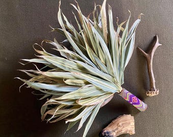 Handmade Chakapa: Italian Shamanic Healing Rattle