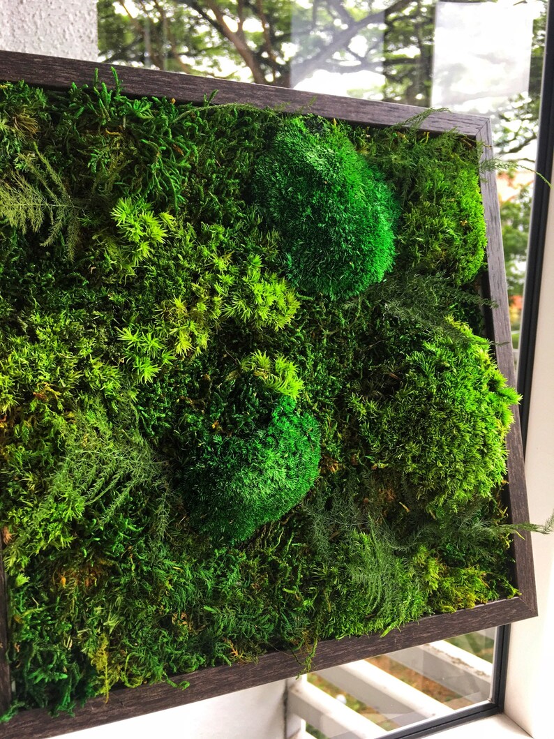 Moss Art Decor Wall Live Green Love Green REAL preserved moss Etsy