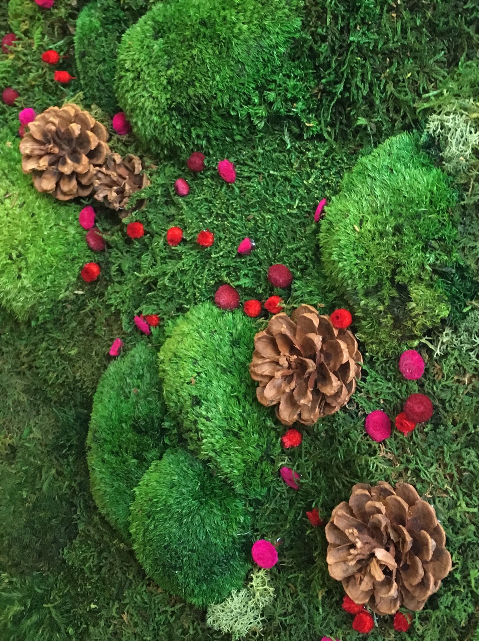 Moss Art Wall Real Preserved Moss 3D No maintenance decor Etsy