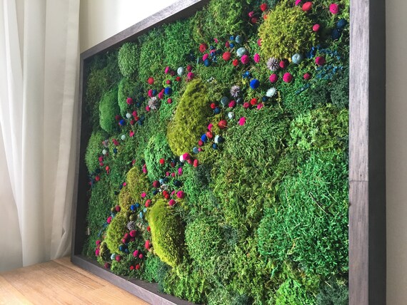 Moos Kunst Wand 3d Real Konserviert Moos Farbe Spangled Etsy