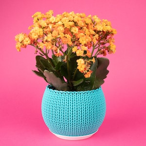 Rainbow knit planter