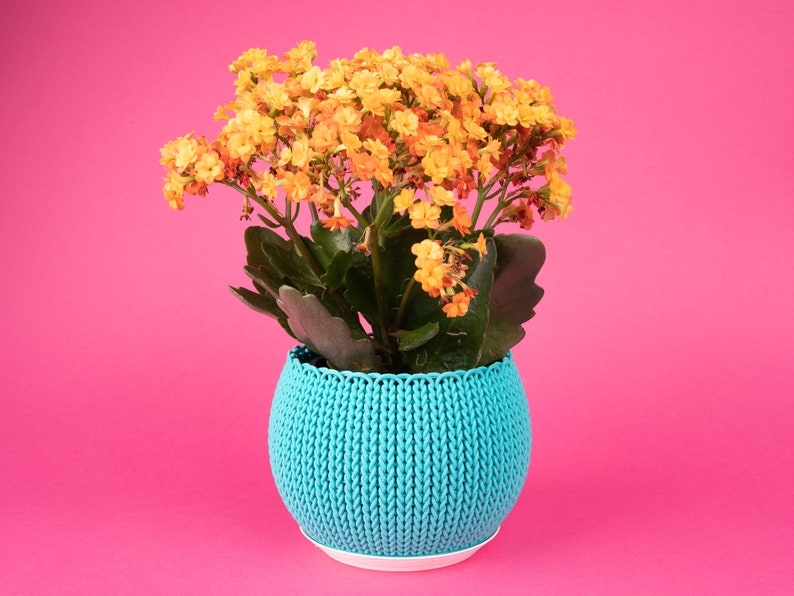 Rainbow knit planter