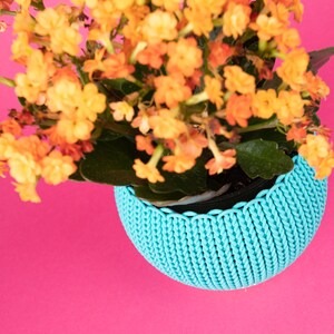 Rainbow knit planter