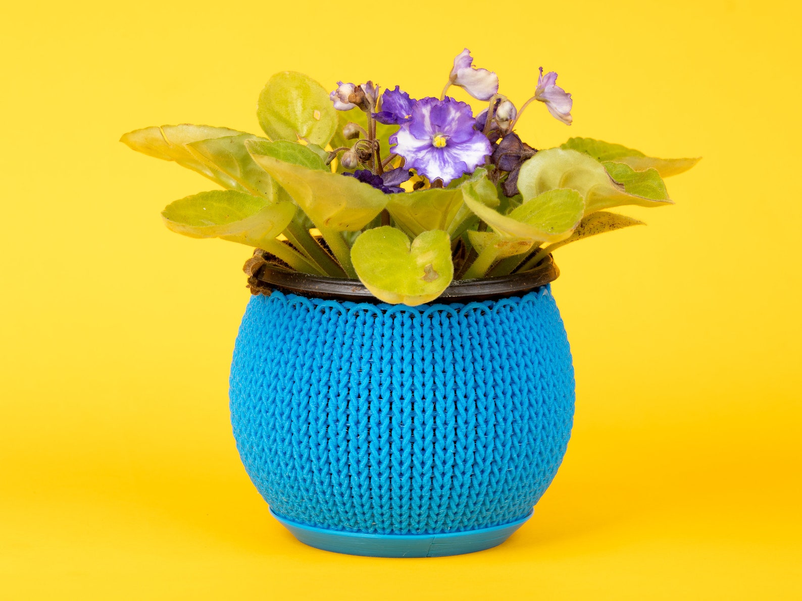 Knit Planter Container • 3.25 Inch Small Planter Container - Etsy