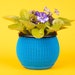 see more listings in the Planters section