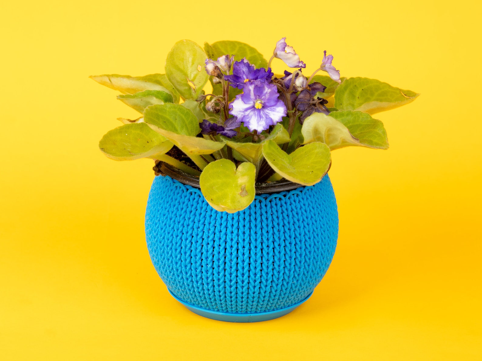 Knit Planter Container • 3.25 Inch Small Planter Container - Etsy