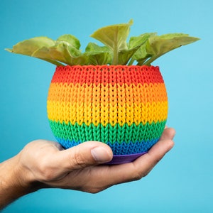 May include: A hand holding a rainbow coloured crocheted plant pot with a green plant inside.