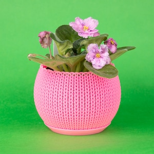 Könnte beinhalten: Ein rosa gestrickter Topf mit einer kleinen afrikanischen Veilchenpflanze mit lila Blüten. Die Pflanze befindet sich in einem rosa Topf mit einer Strickstruktur.