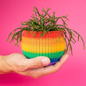 Rainbow Knit Planter Personalized Colors • 3.25 inch