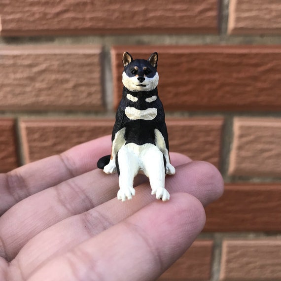 Dark shiba best sale