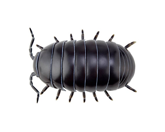 Kaiyodo Sofubi Pill Bug Potato Bug Pill Woodlouse Soft Pvc Etsy