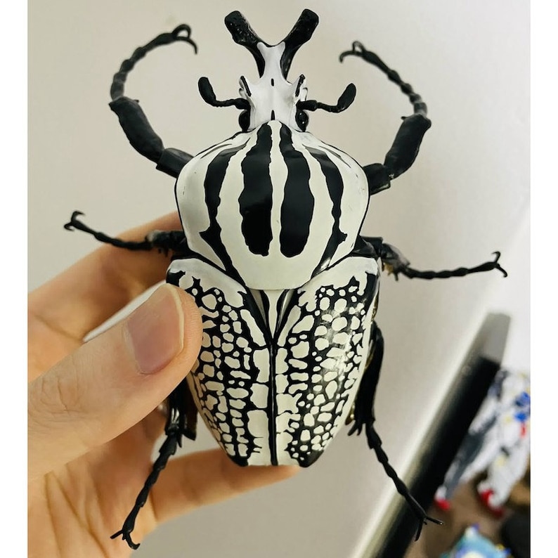 Life Size 1:1 Goliath Goliath beetle Insect PVC Figure model B image 2