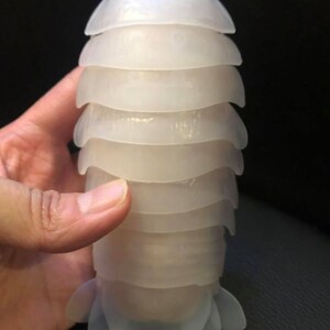 Deep Sea Giant Isopod Animal PVC Action Figure Model - Etsy