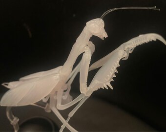 Giraffe Stag Beetle Insect PVC Action Figure model with joints