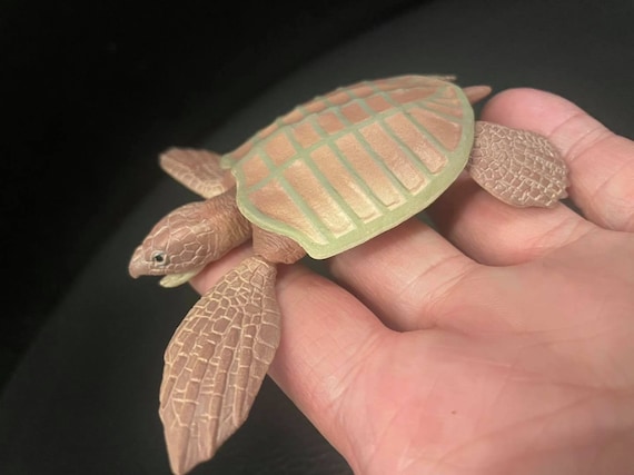 Archelon Prehistoric Sea Turtle With Ammonite Pvc Action Etsy Archelon Prehistoric Sea Turtle With Ammonite Pvc Action Etsy