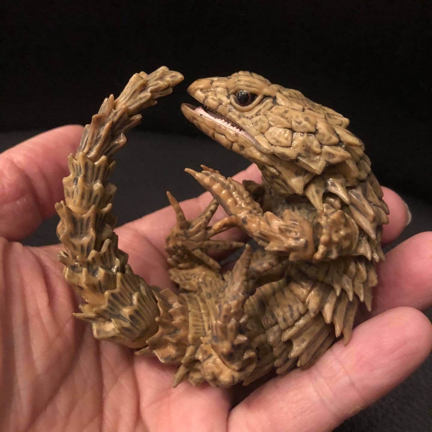 Armadillo Girdled Lizard Animal Pvc Action Figure Model Etsy