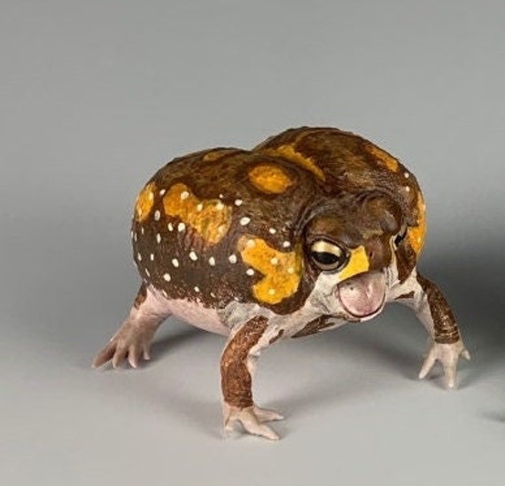 rain frog for sale