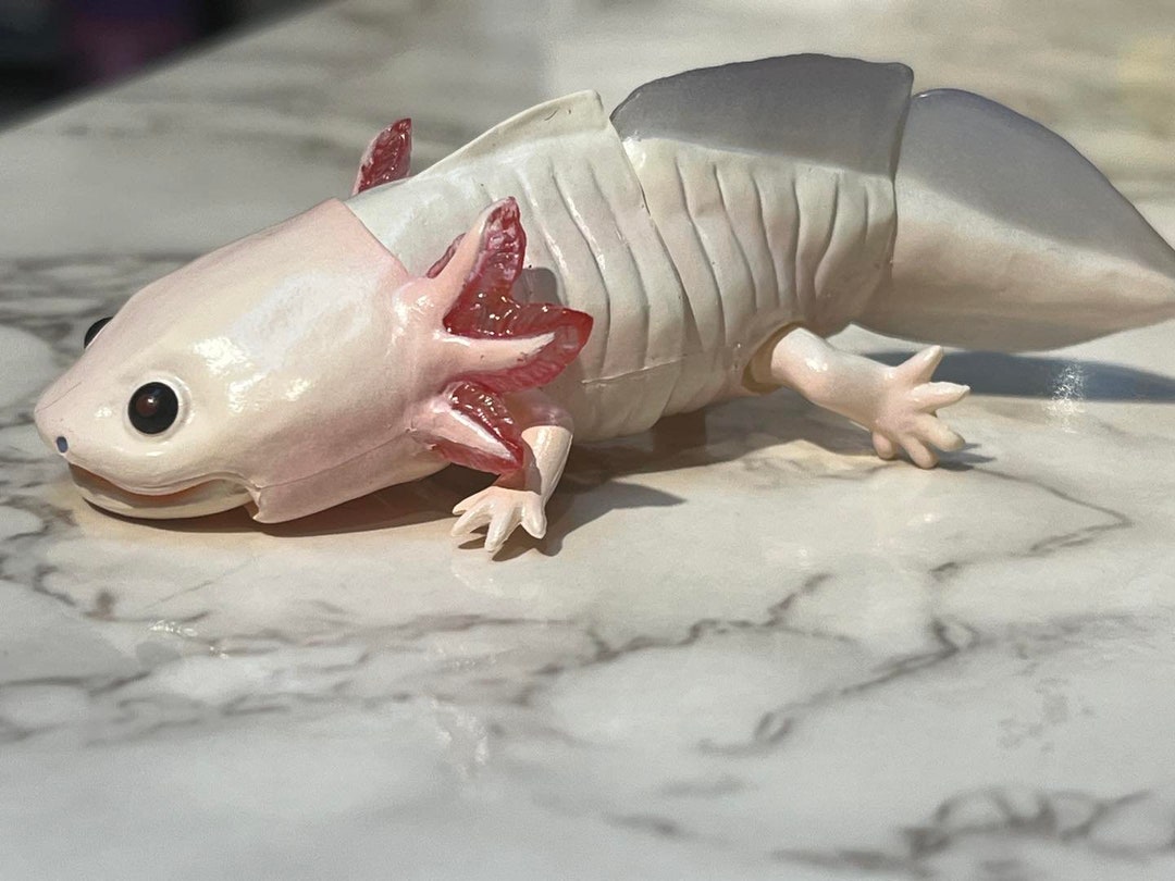 Japan Q Axolotl Salamander PVC Action Figure Model With Joints 10cm A