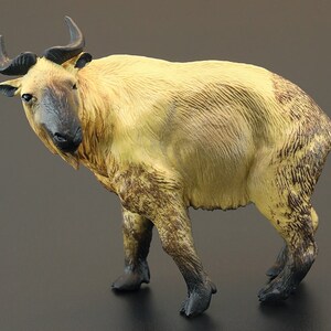 Takin cattle chamois animal PVC model figure figurine image 2