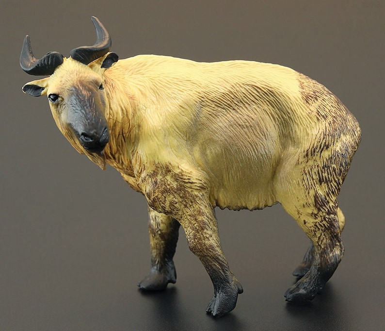 Takin cattle chamois animal PVC model figure figurine image 2