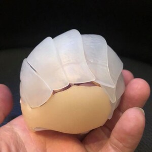 Deep Sea Giant Isopod Animal PVC Action Figure Model - Etsy